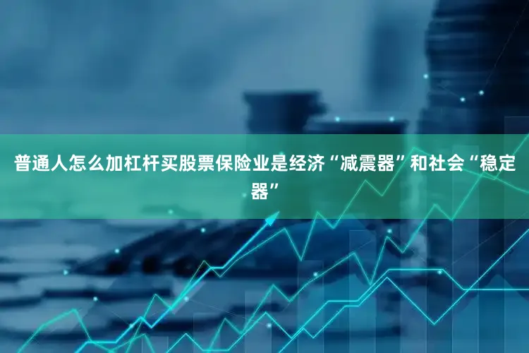 普通人怎么加杠杆买股票保险业是经济“减震器”和社会“稳定器”