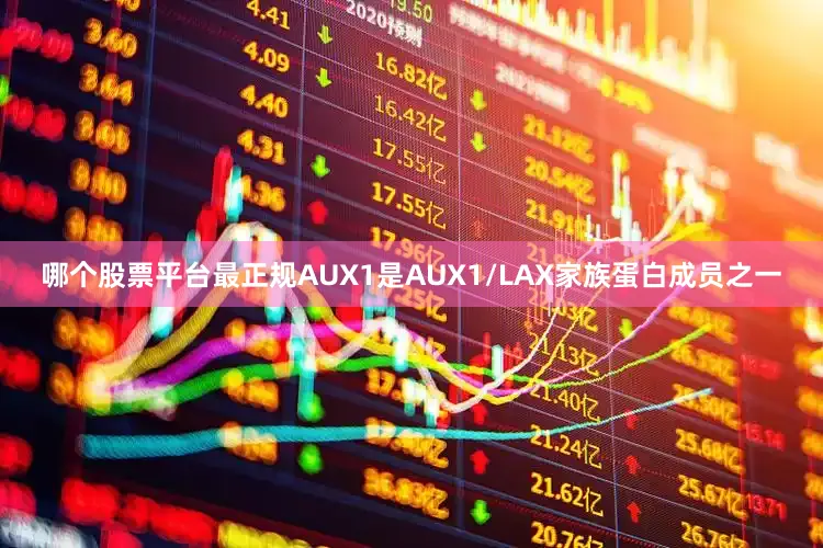 哪个股票平台最正规AUX1是AUX1/LAX家族蛋白成员之一