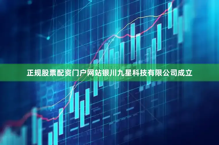 正规股票配资门户网站银川九星科技有限公司成立