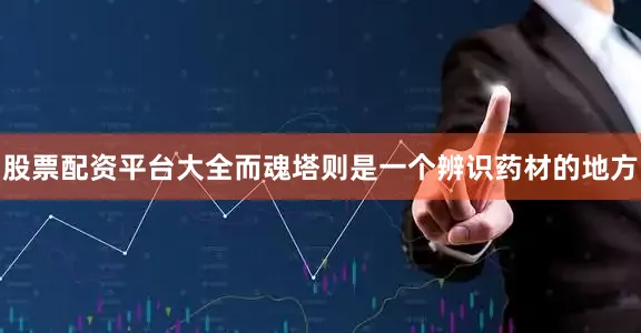 股票配资平台大全而魂塔则是一个辨识药材的地方