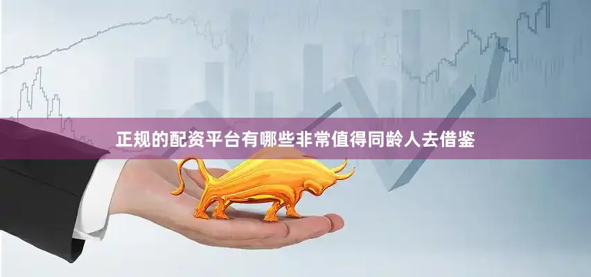 正规的配资平台有哪些非常值得同龄人去借鉴